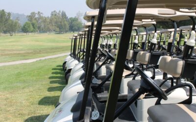 Understanding Leaf Spring Suspensions and Bushings for Golf Carts