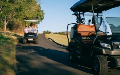 The Critical Role of a Professional Golf Cart Mechanic