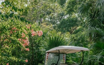 Eco-Friendly Solutions for Common Golf Cart Repairs in West Palm Beach, Florida